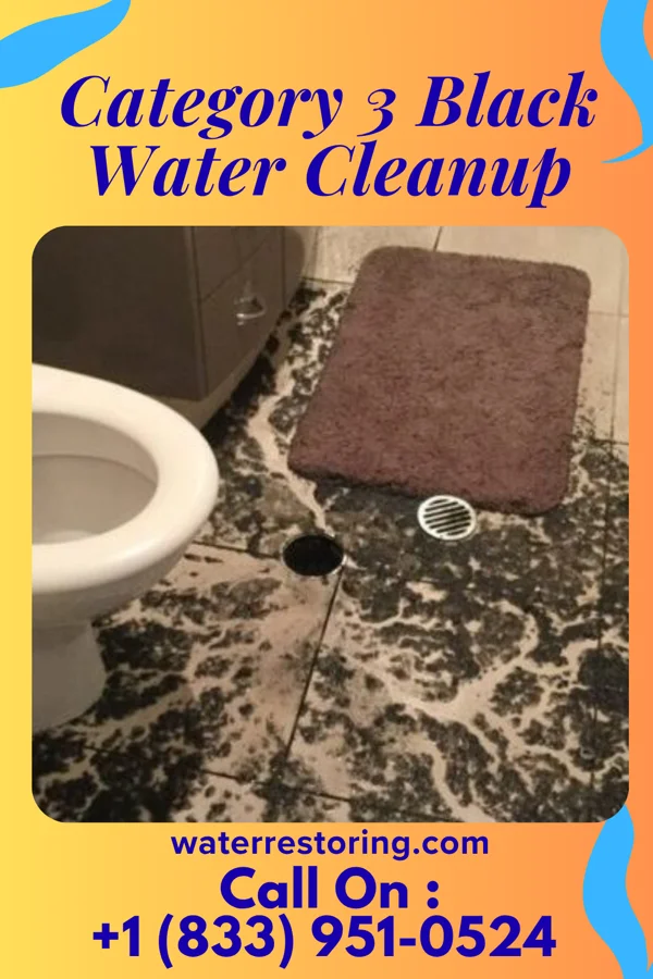 Category 3 Black Water Cleanup in Catasauqua, PA