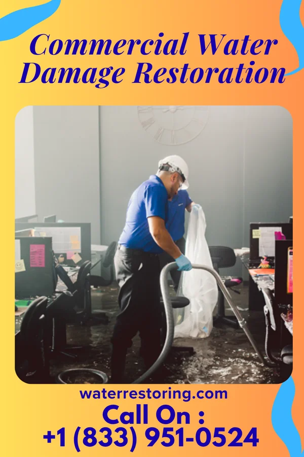 Commercial Water Damage Restoration in Catasauqua, PA