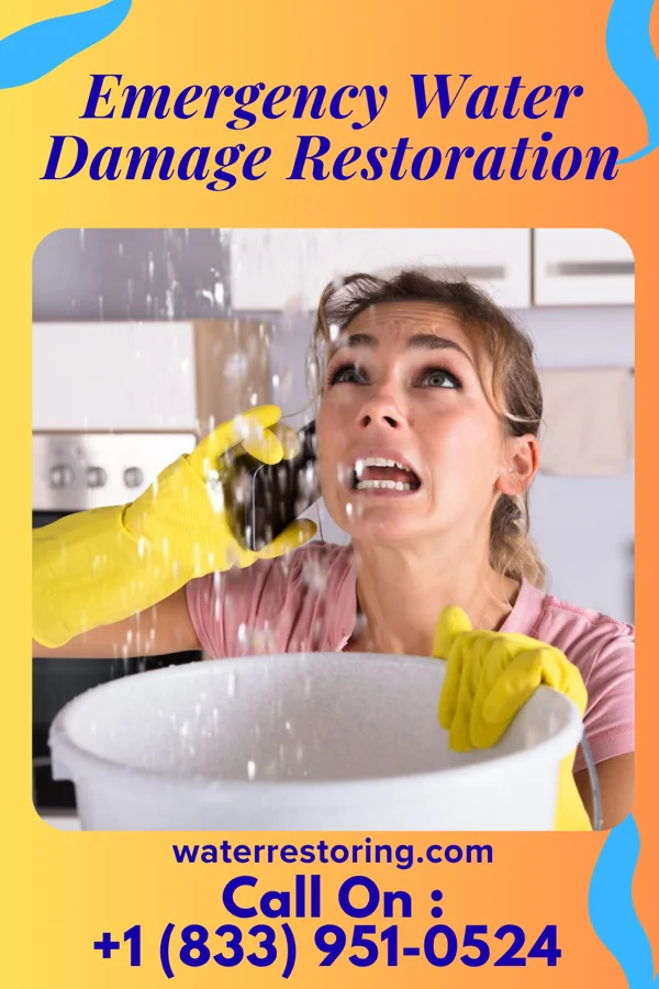 Emergency Water Damage Restoration in Catasauqua, PA