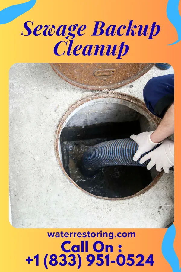 Sewage Backup Cleanup in Catasauqua, PA