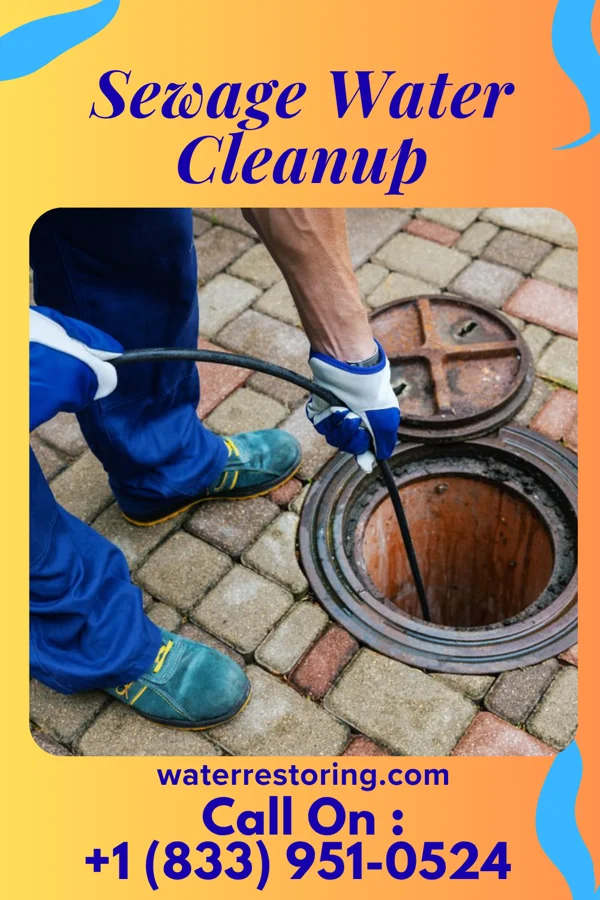 Sewage Water Cleanup in Catasauqua, PA