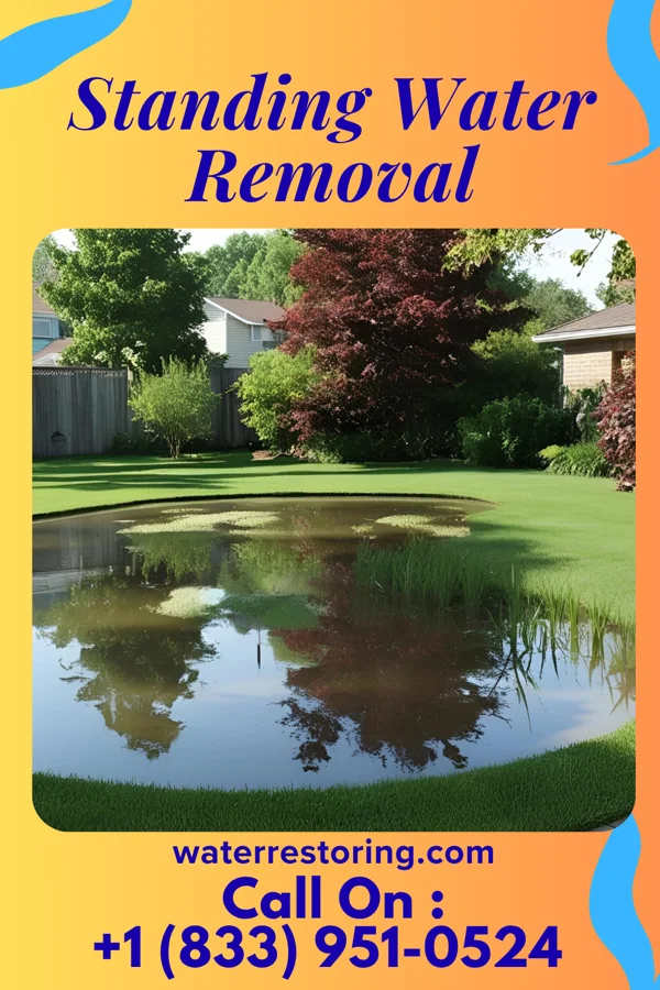 Standing Water Removal in Catasauqua, PA
